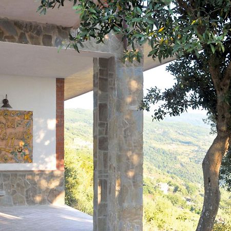 Casale Il Gheppio Guest House Laureana Cilento Екстериор снимка
